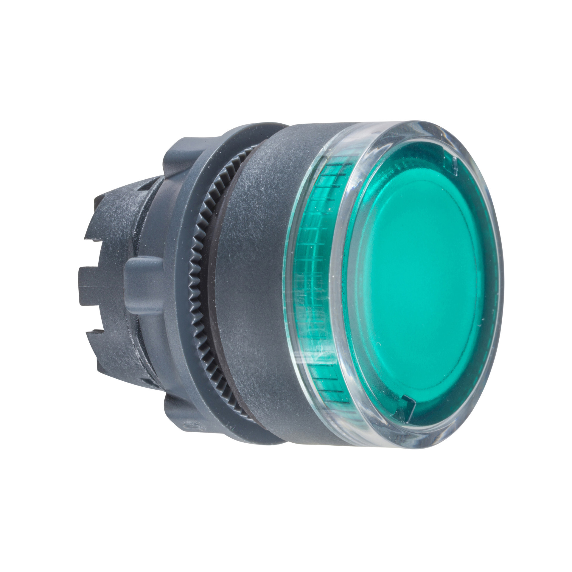 Pulsante Schneider Verde ZB4BH03 - Testa Pulsante Per Automazione E Gestione Energia - Foto 2